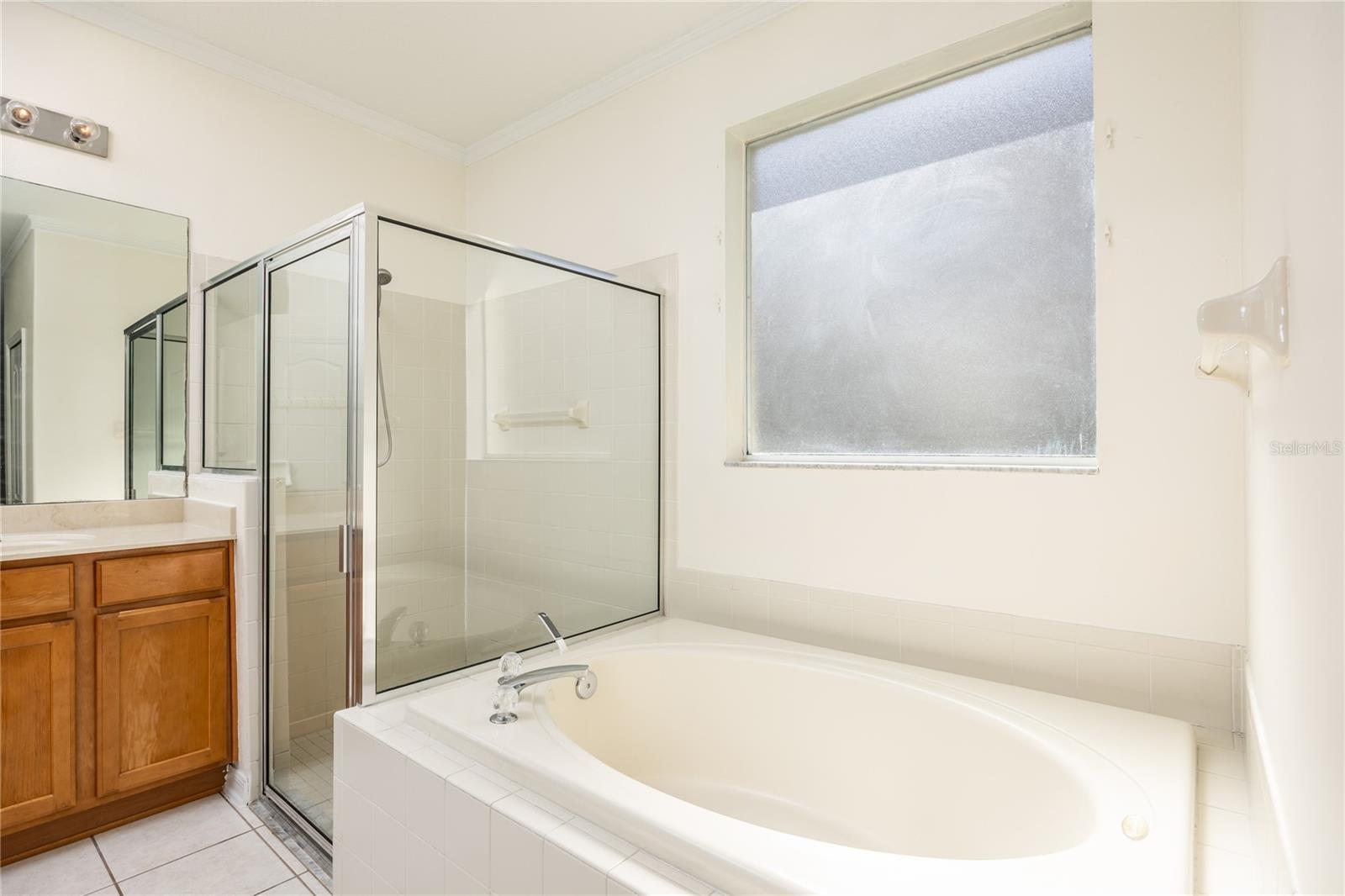 Primary Bath Garden Tub and Step In Shower