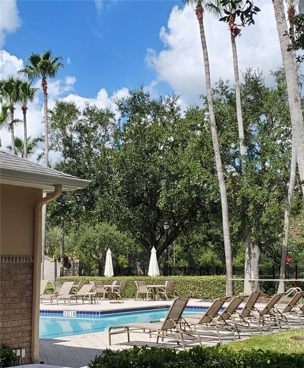 Community Pool area