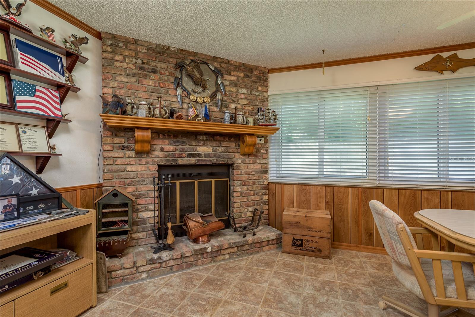 Wood -burning fireplace with new Chimney