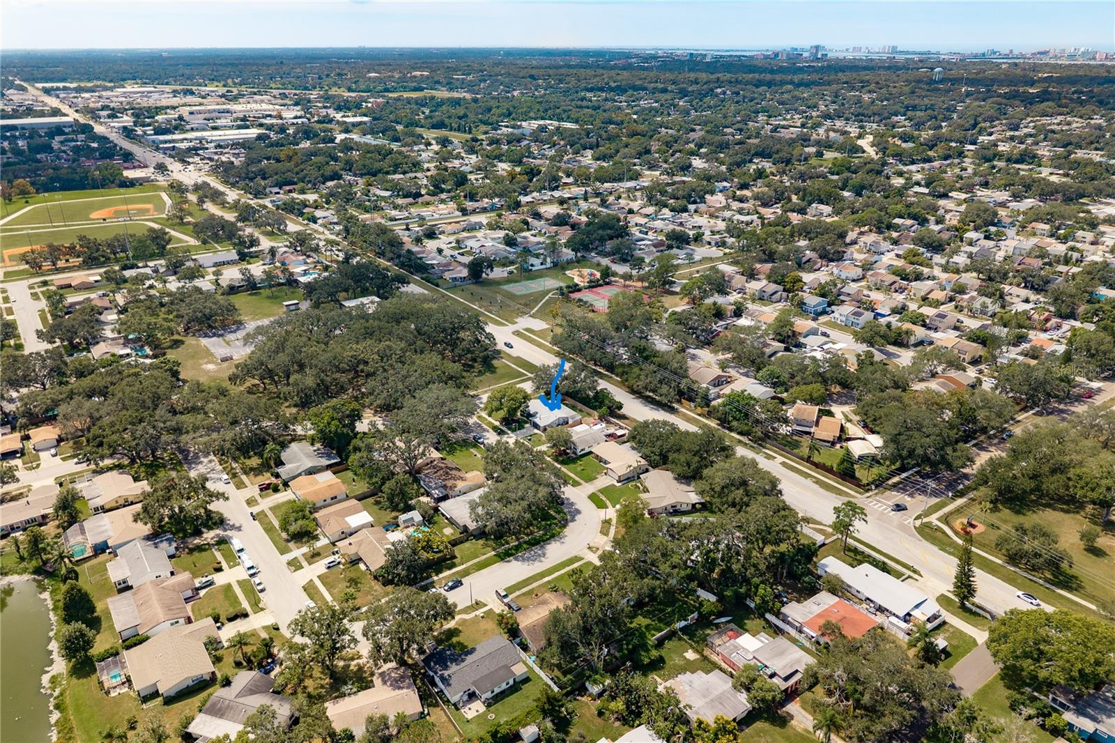 Area View