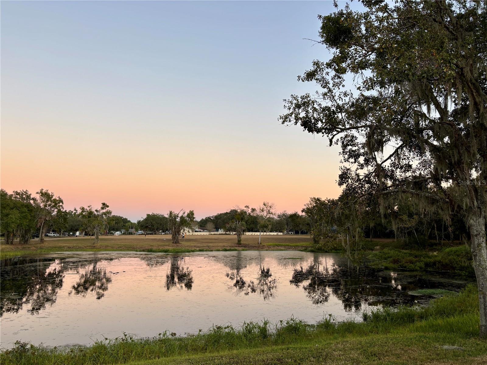 Tranquil pond view with wildlife sightings from your own backyard!
