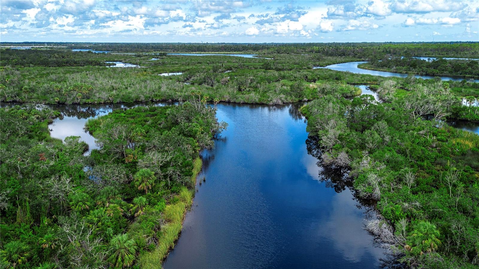 Little manatee river