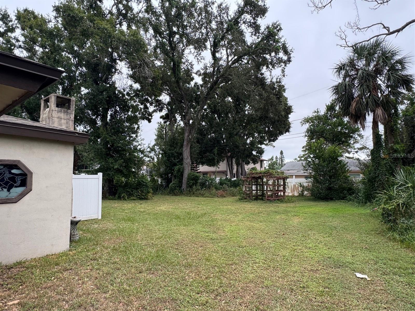 Back yard