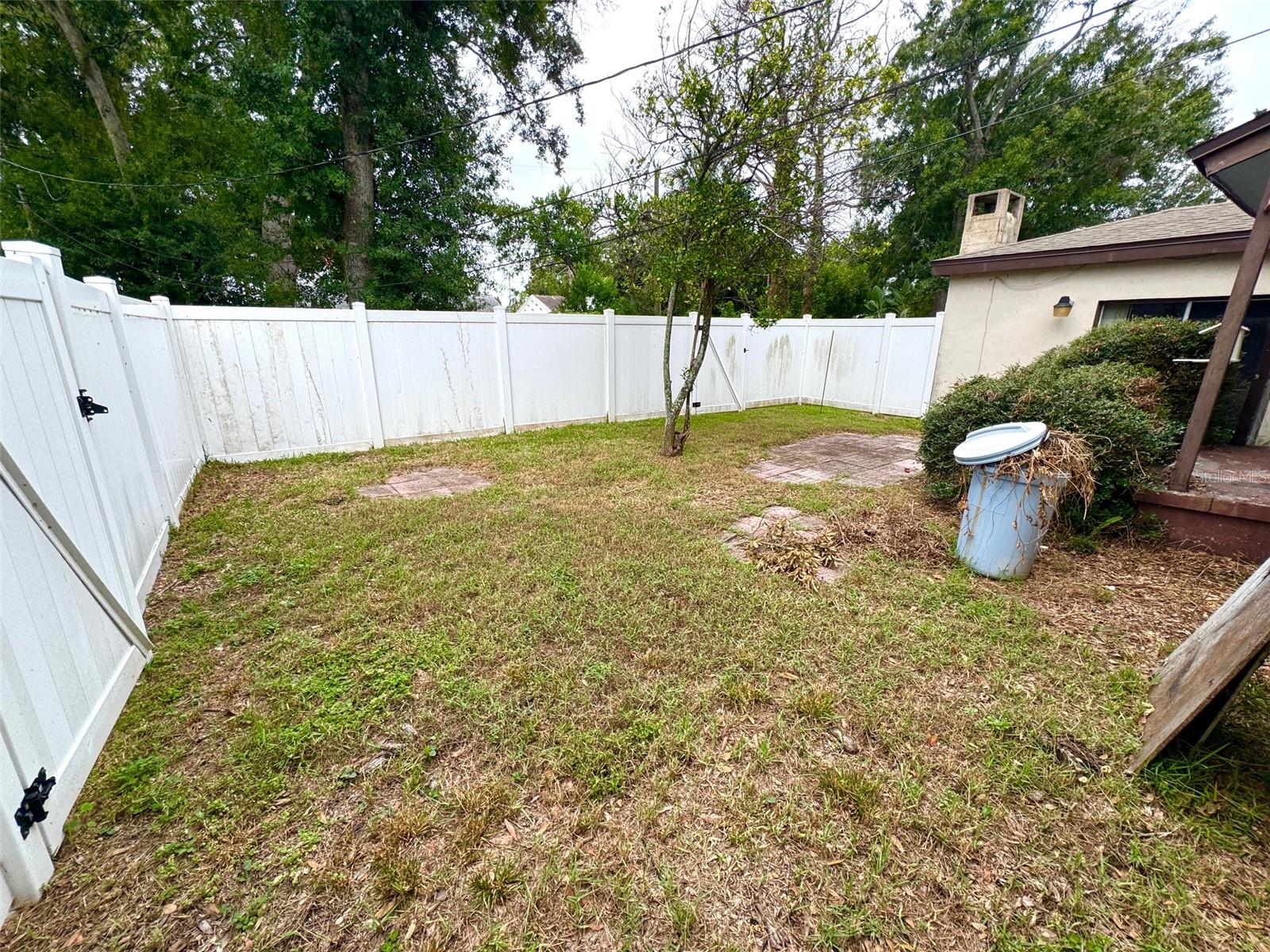 Inner back yard