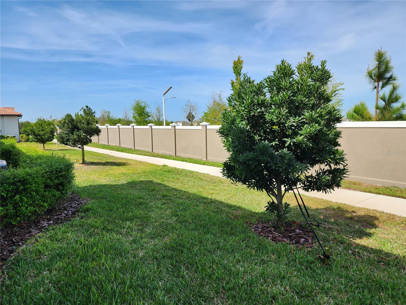 Walking Path behind unit