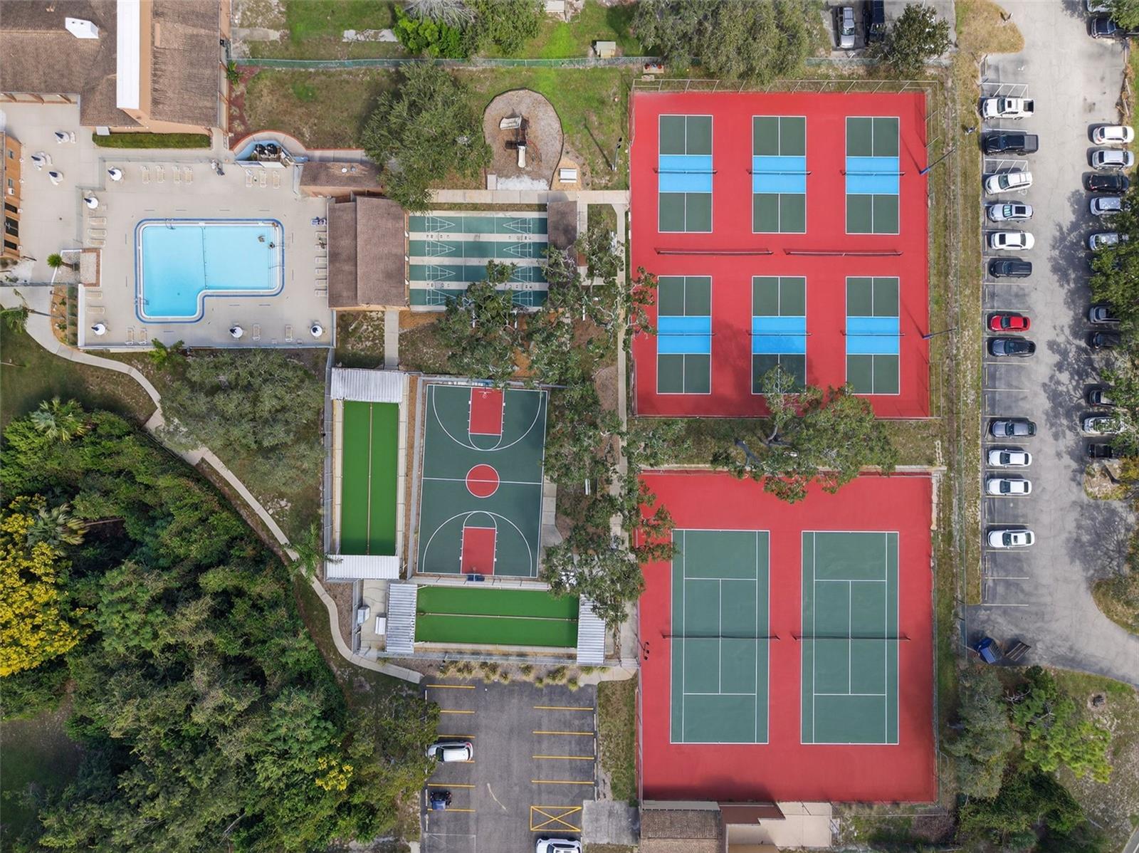 Community Drone View