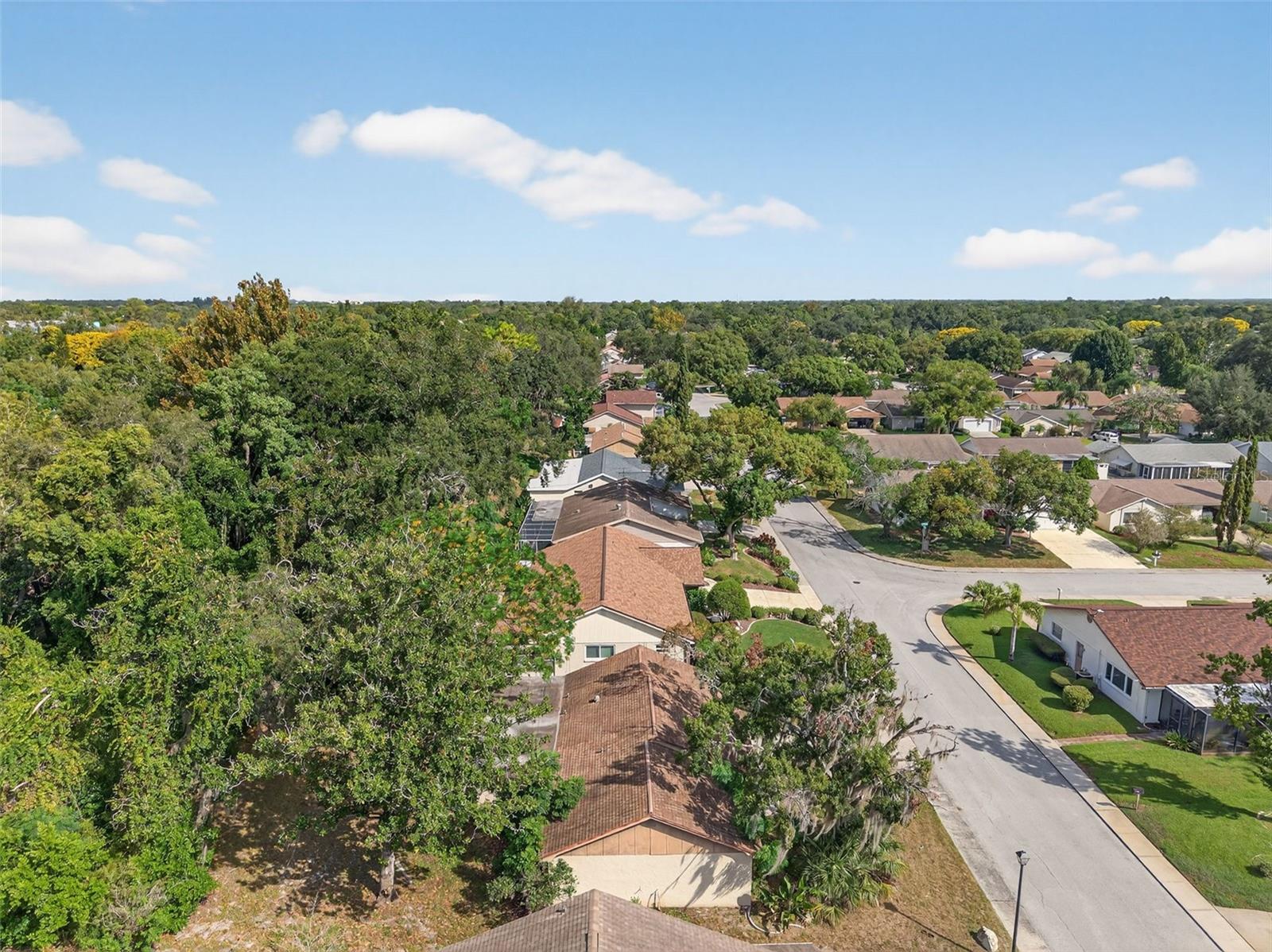 Drone View