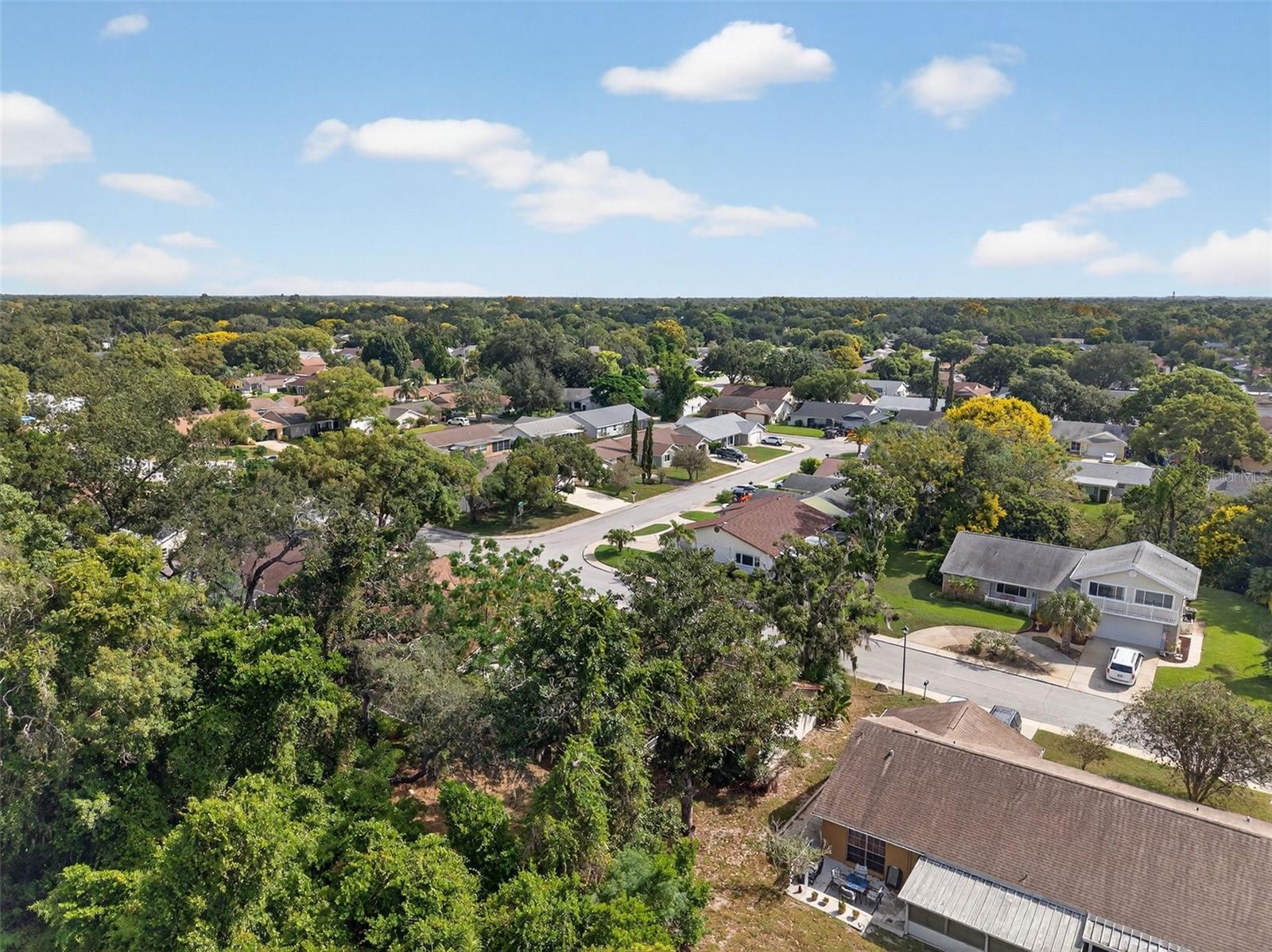 Drone View