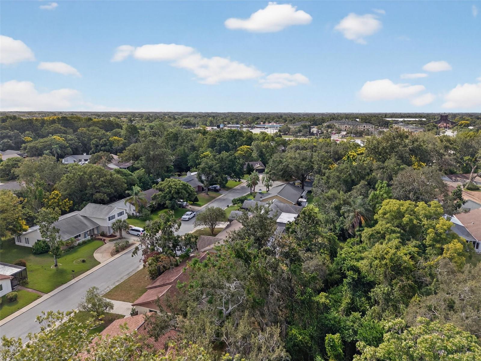 Drone View