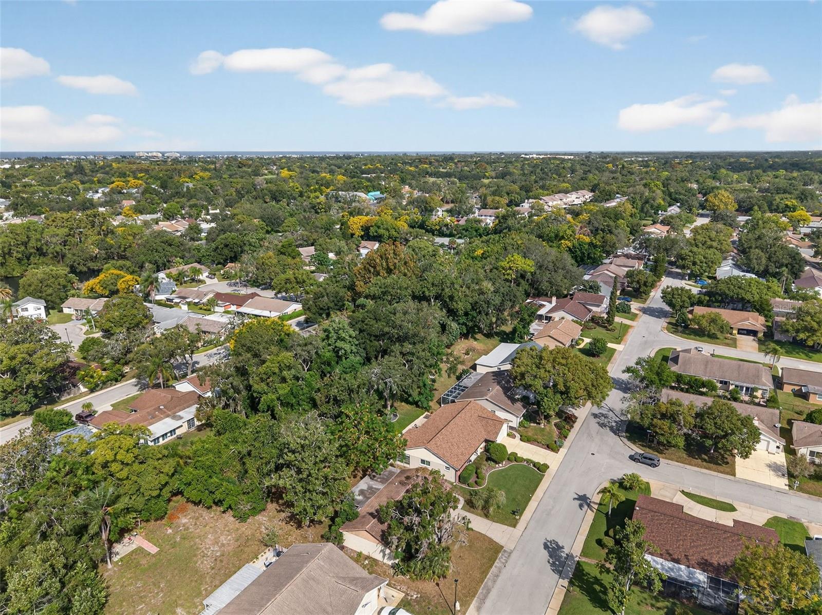 Drone View