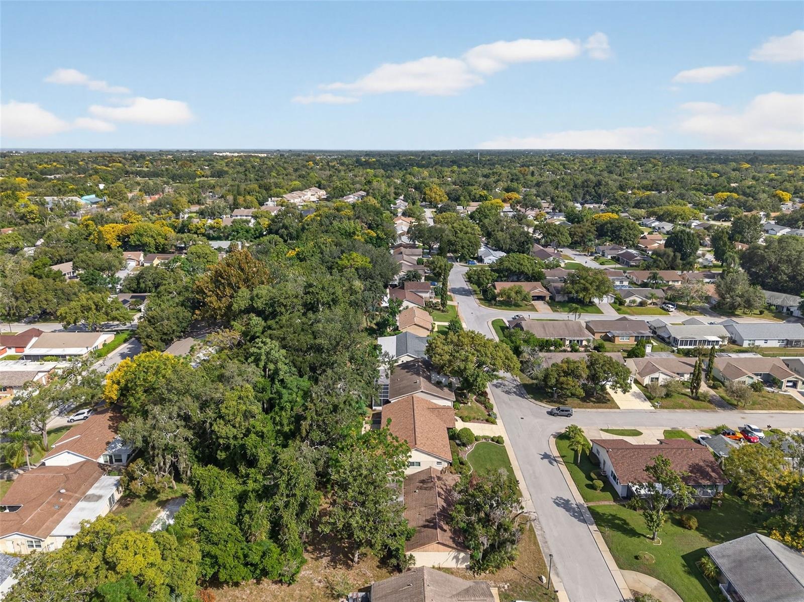 Drone View