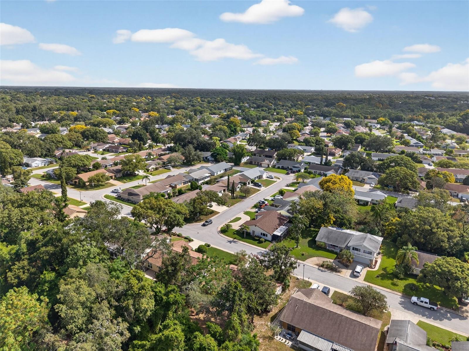 Drone View