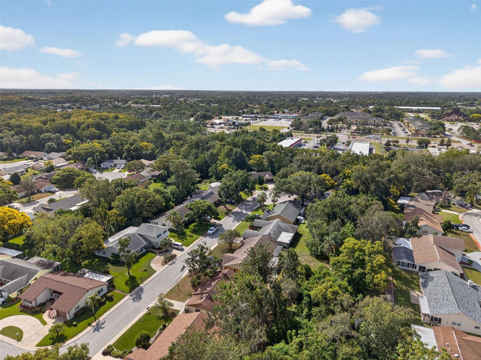 Drone View