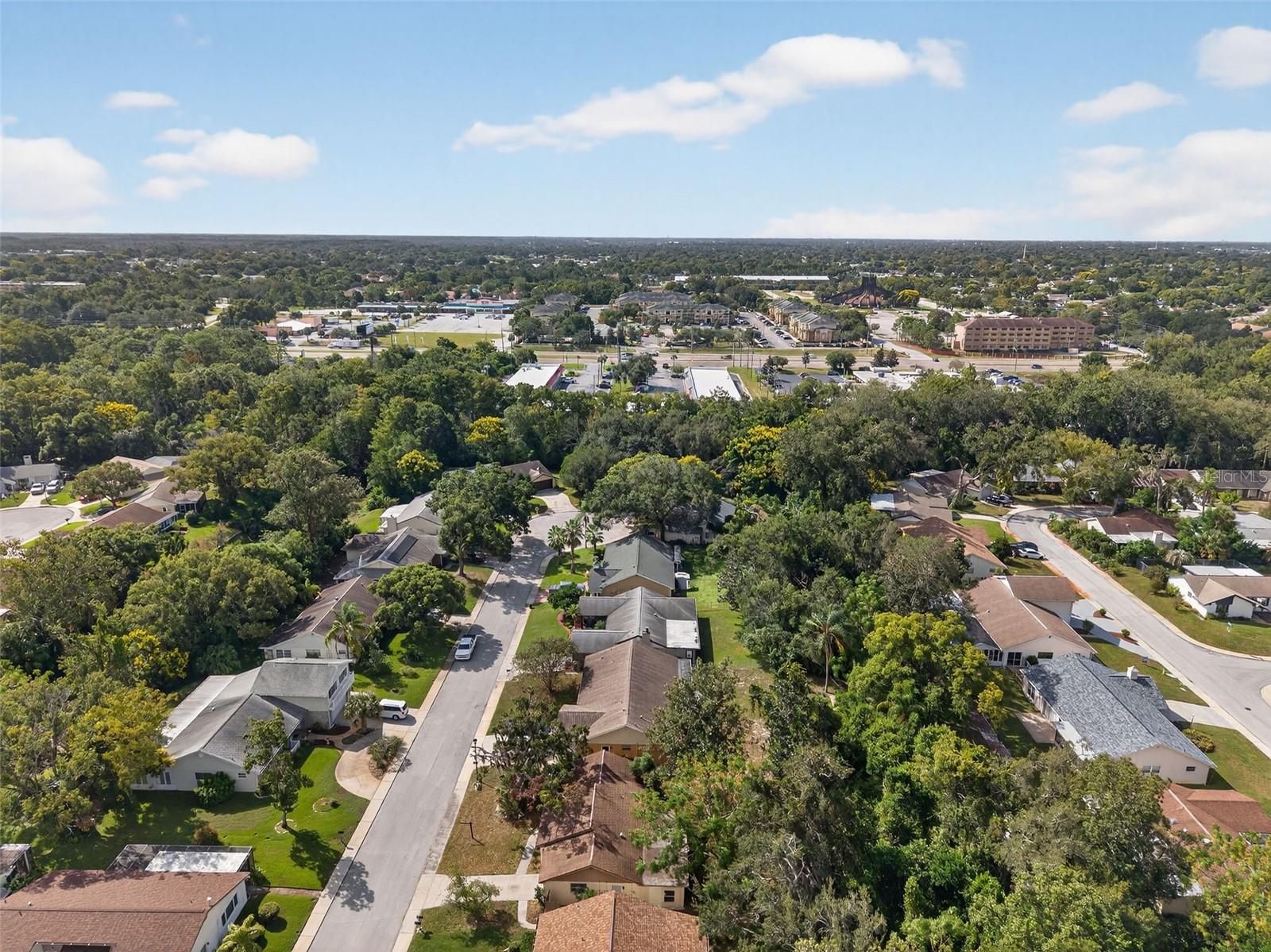 Drone View