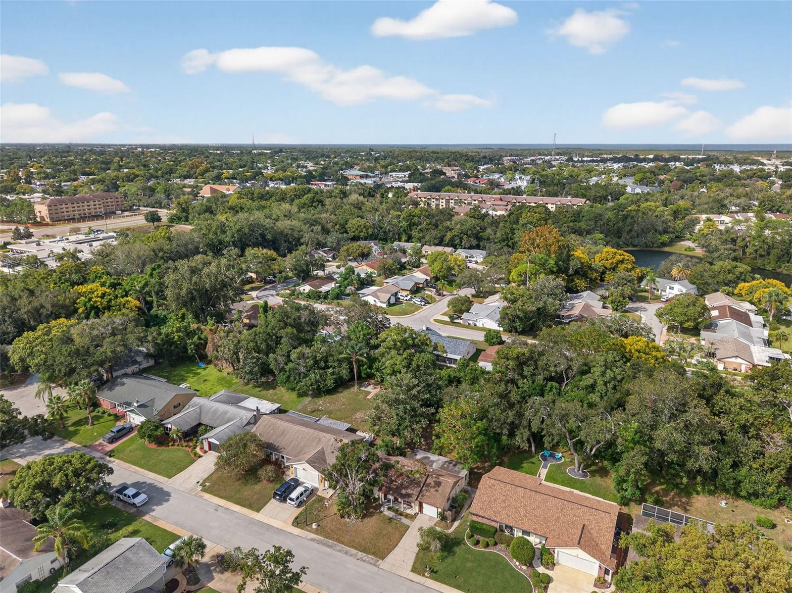 Drone View