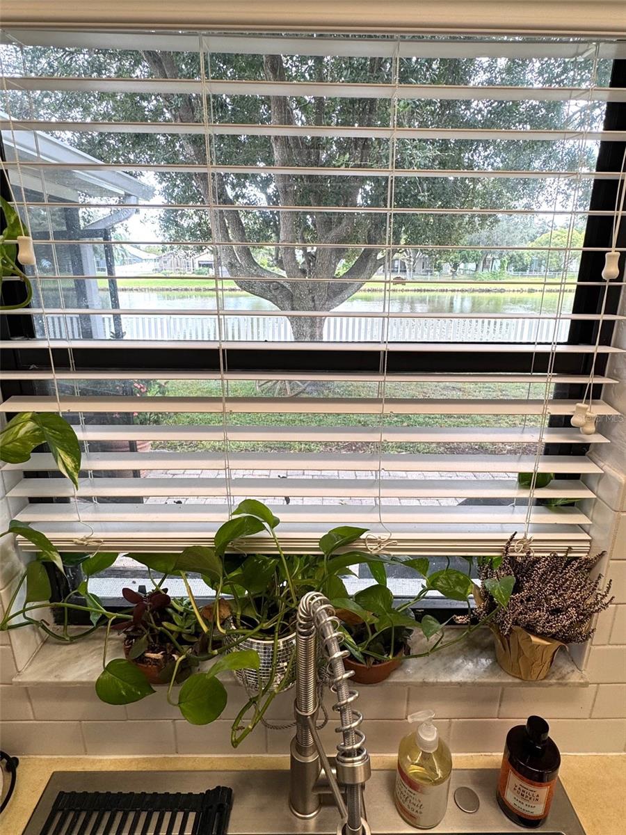 Pond view from the kitchen sink