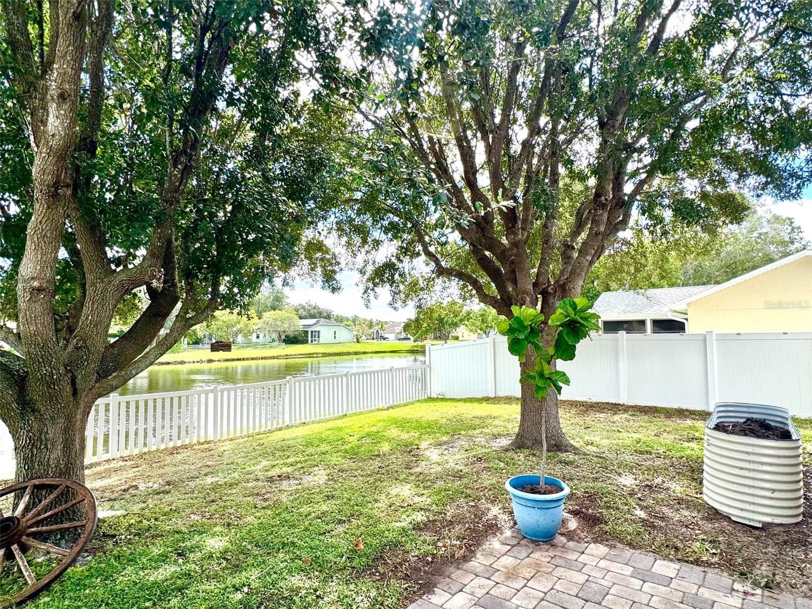 Back yard and brick paved patio