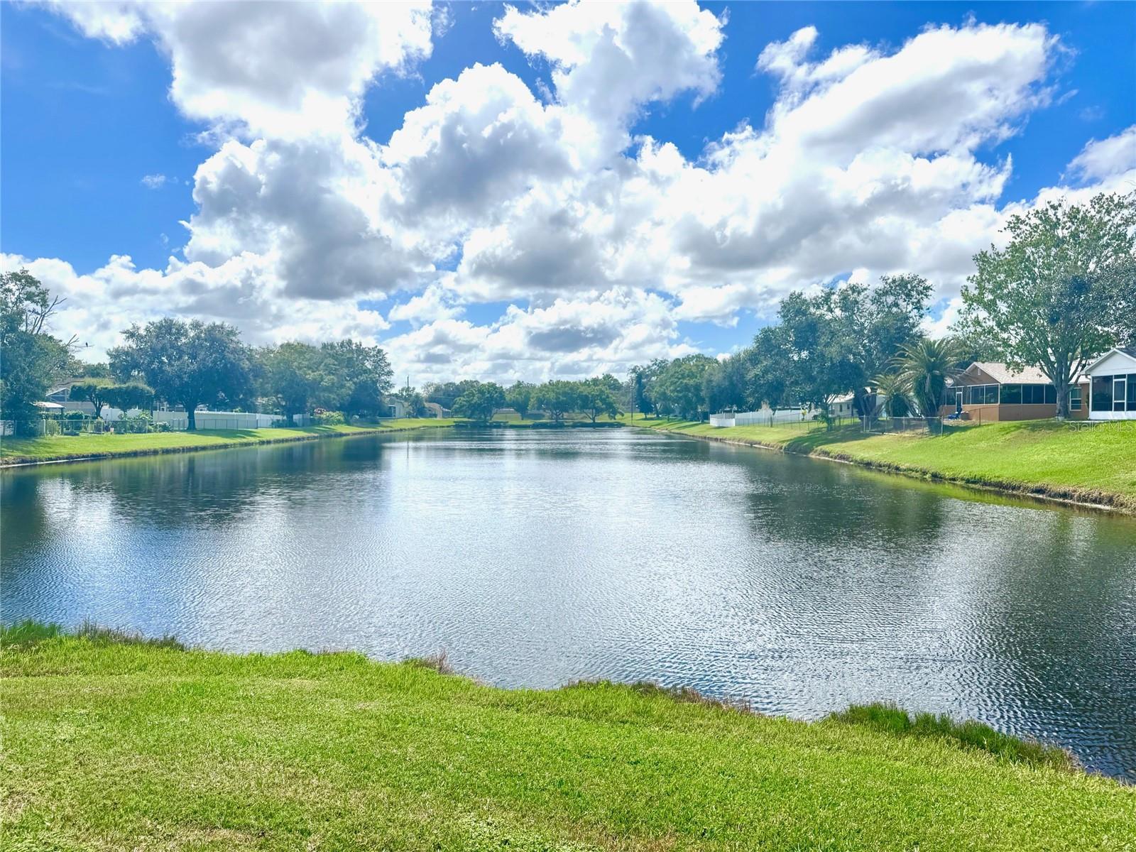Full view of the pond from the end of the road