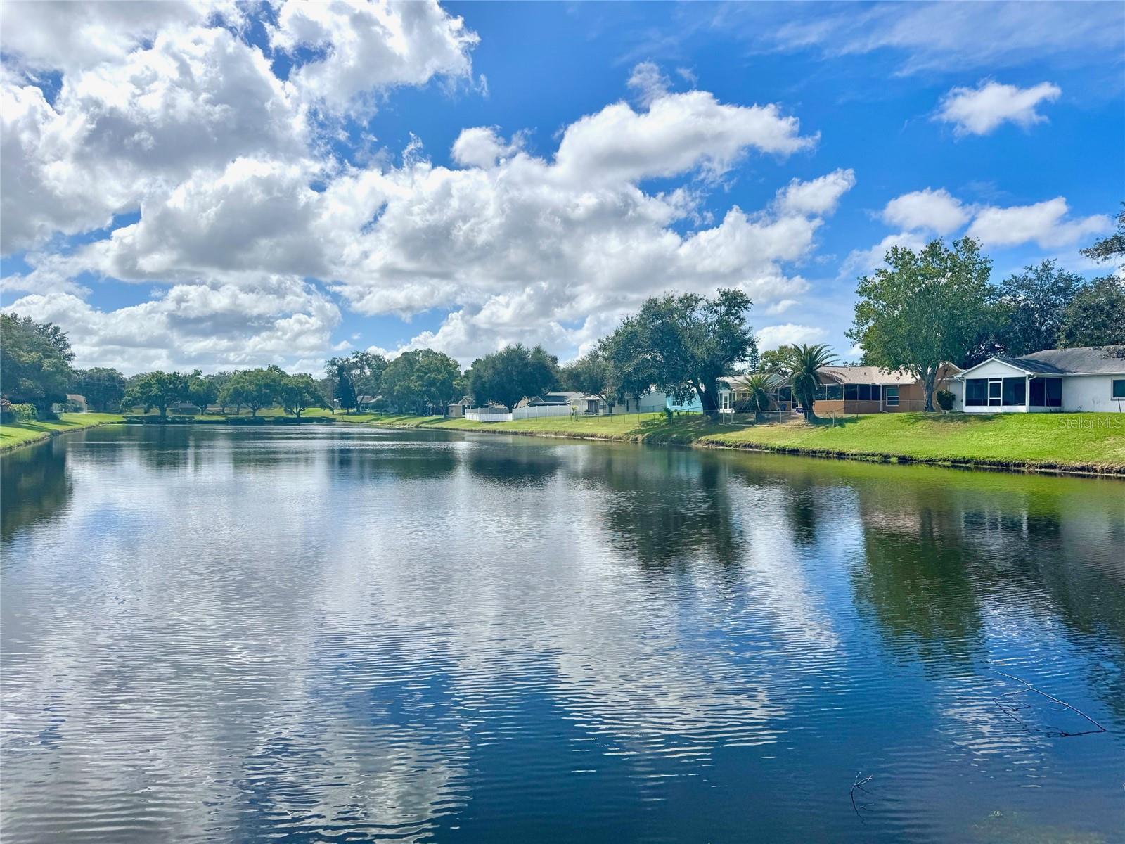 Full view of the pond from the end of the road