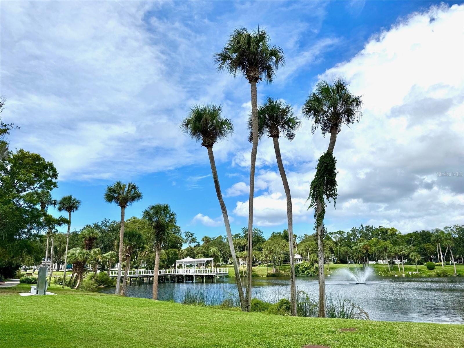 Sims Park has frequent concerts and family oriented events