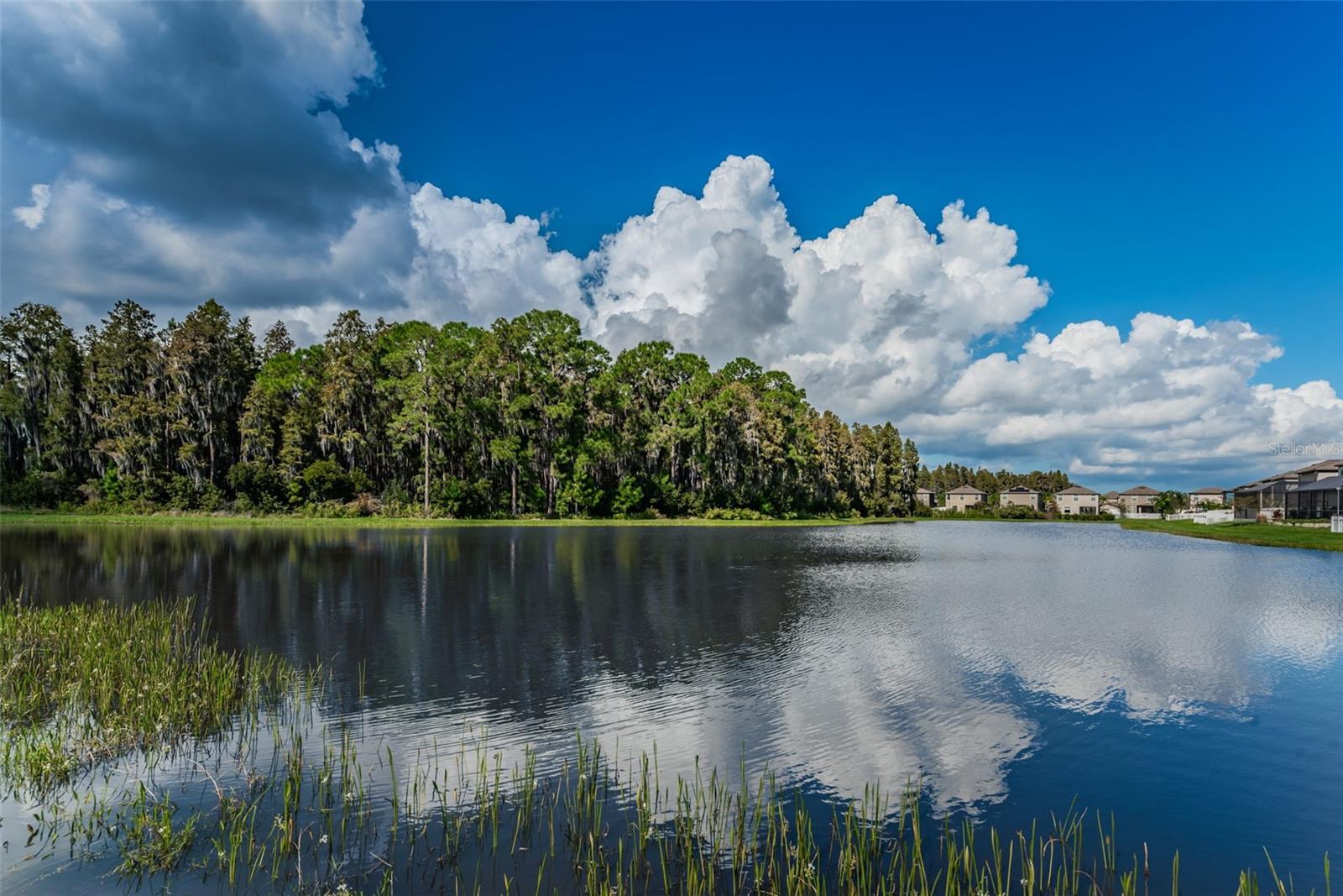 SCENIC VIEWS ON YOUR WAY TO 1193 LAWNVIEW