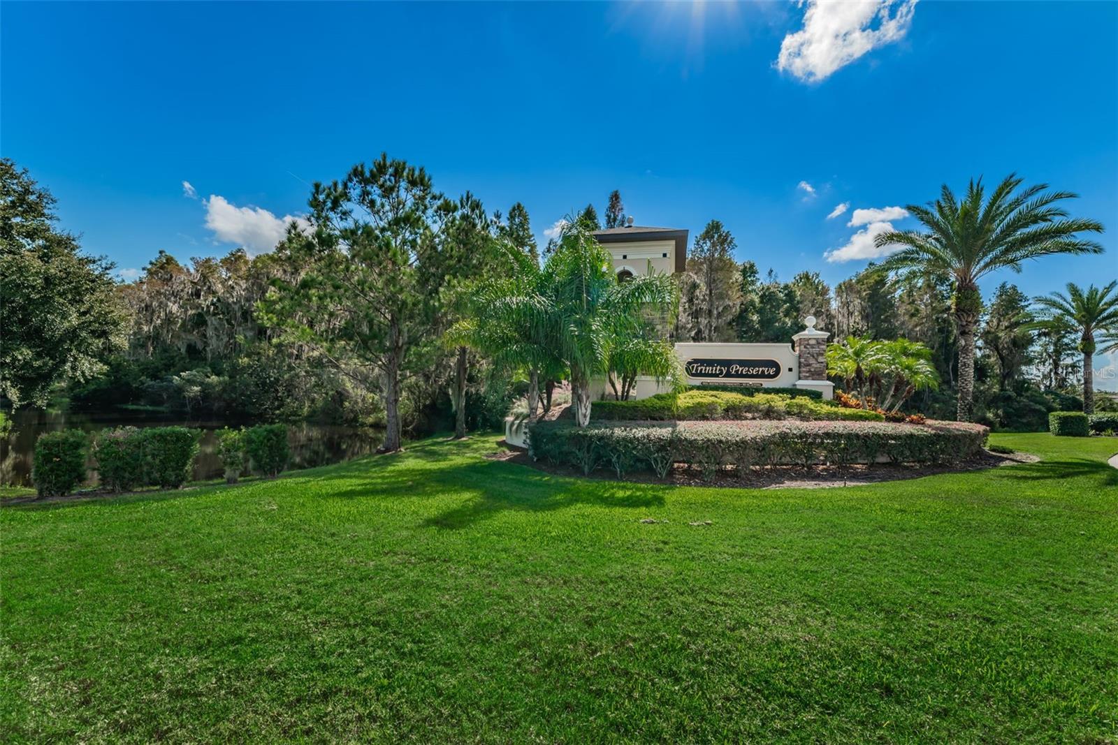 ENTRANCE TO THE SUBDIVISION