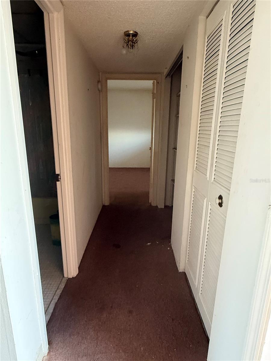 Hallway to 2nd Bedroom/Bathroom