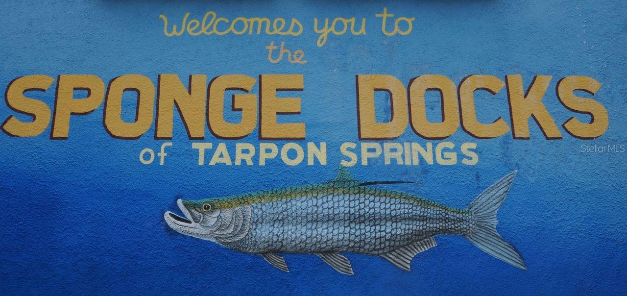 Famous Sponge Docks
