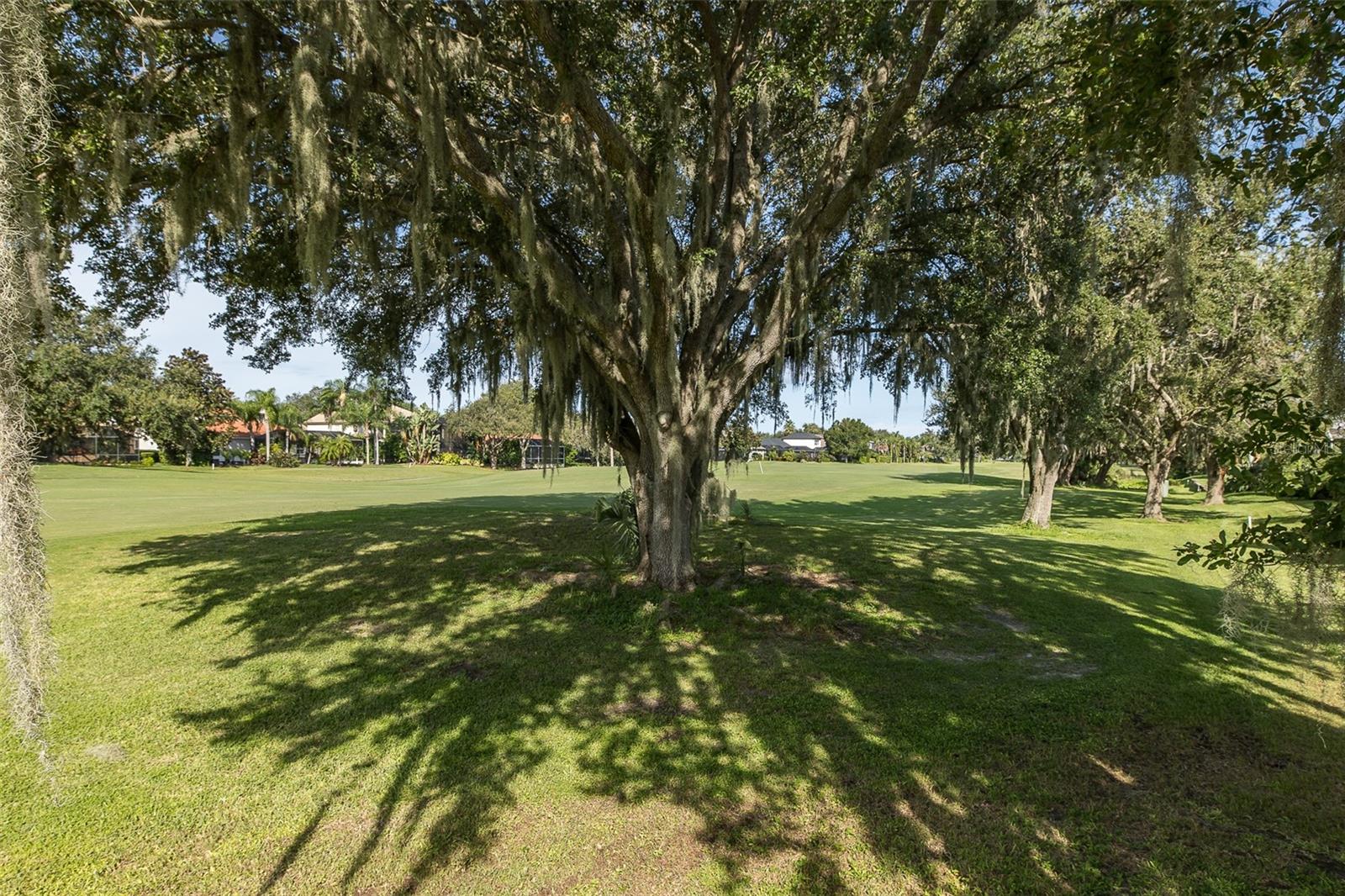 W7879594