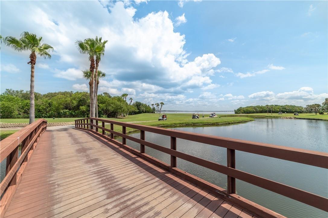 Cove Cay Golf Community located along Tampa Bay