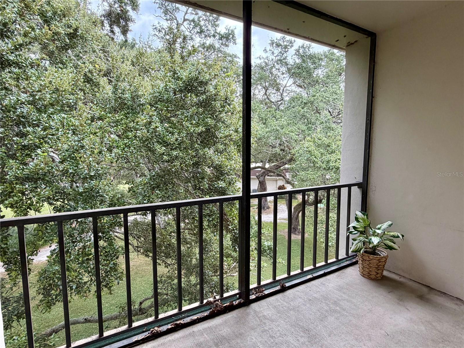Back Screened Porch