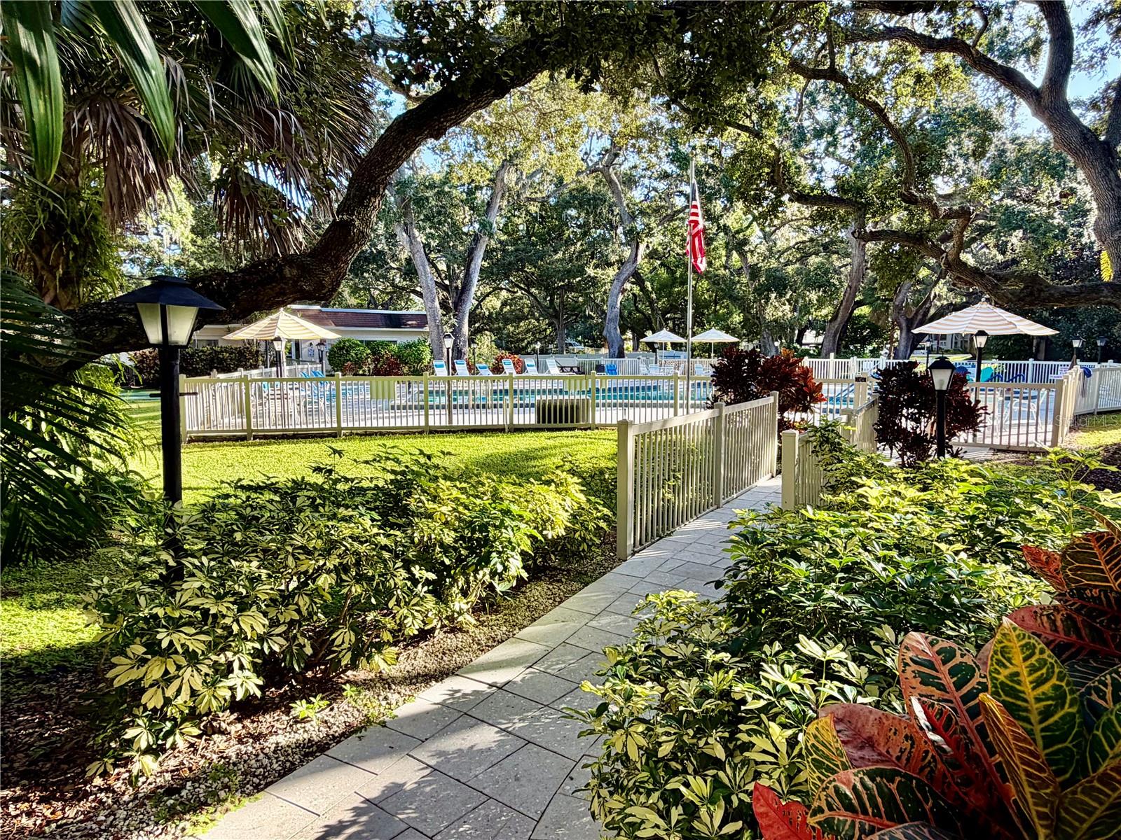 Walkway to the pool from the courtyard