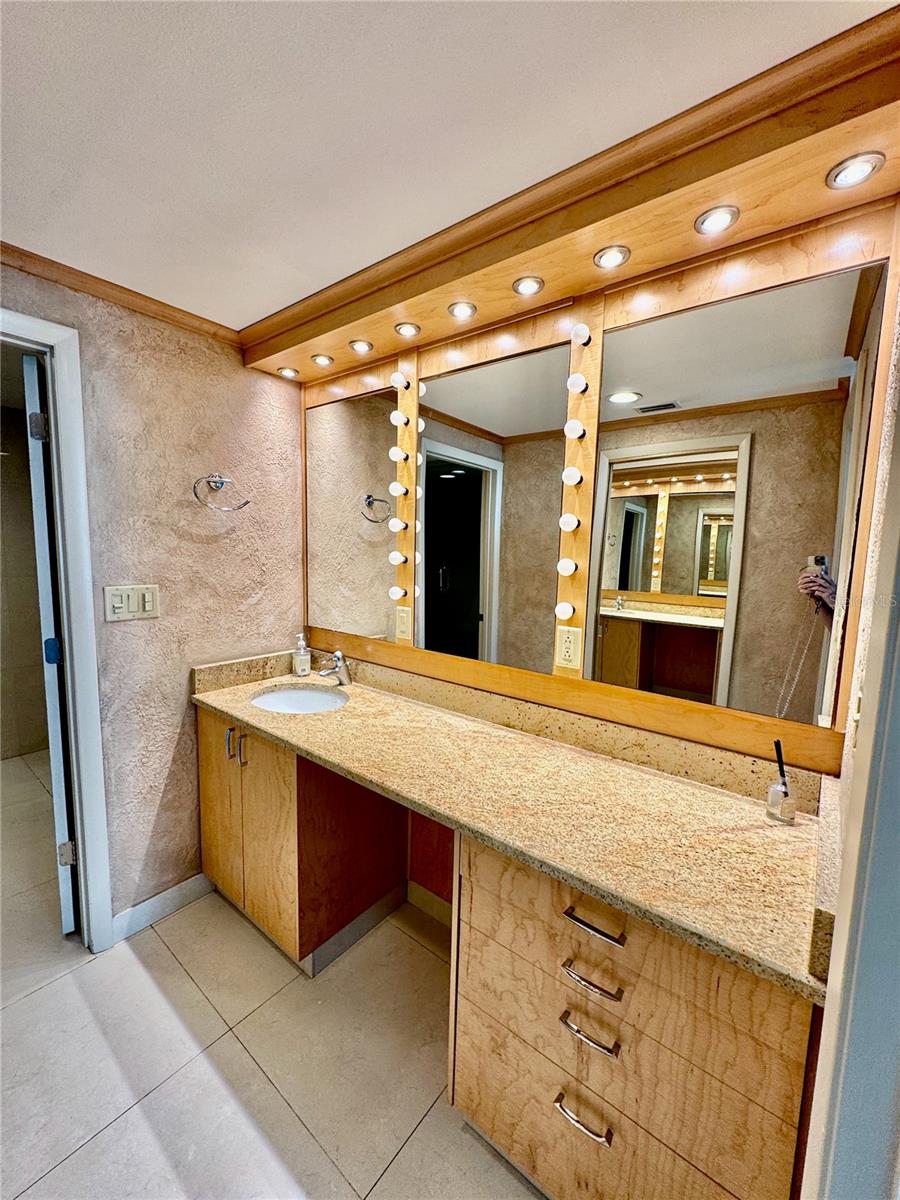 Master Bath Pro Makeup Sink and area