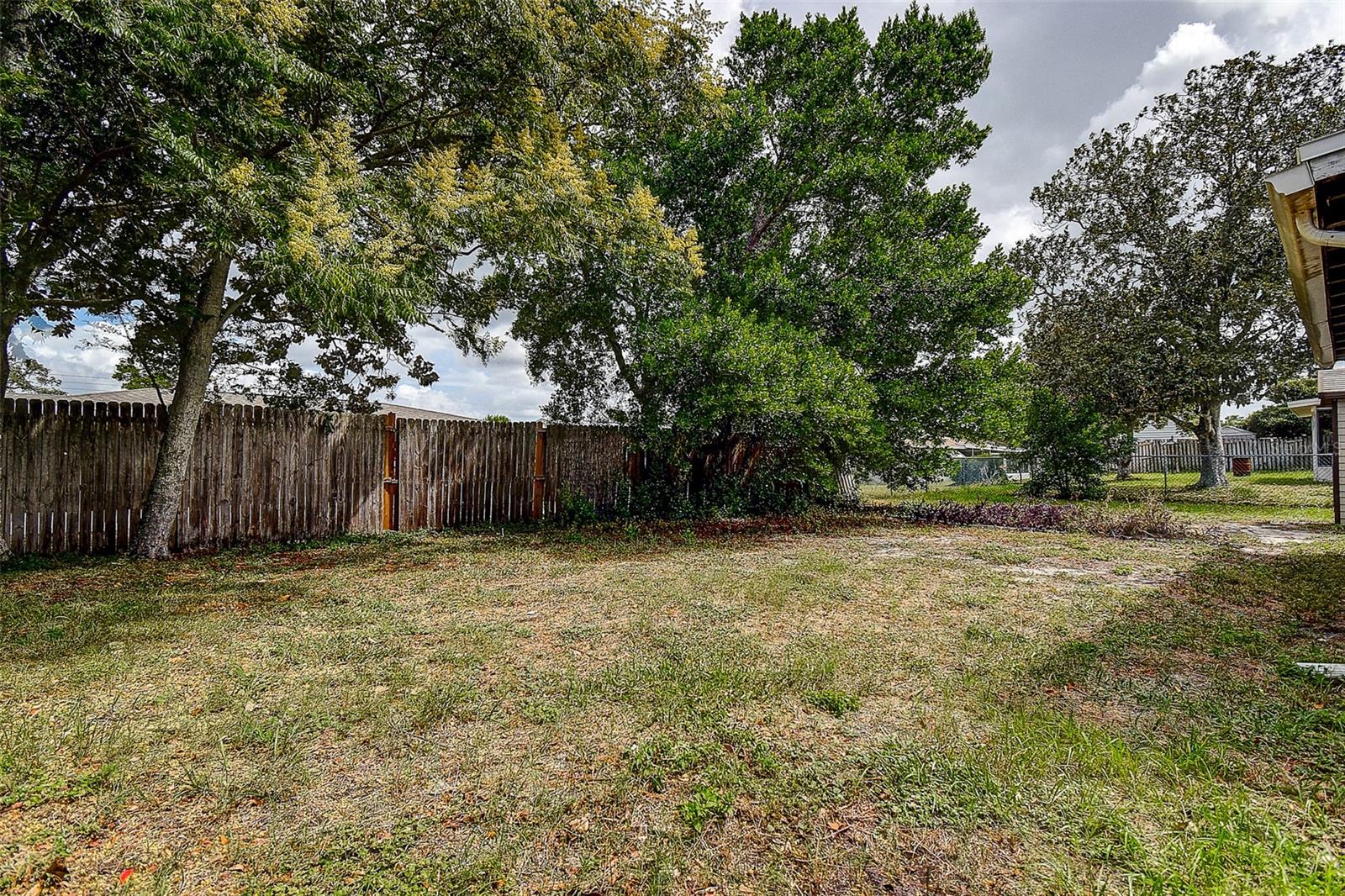 Back yard
