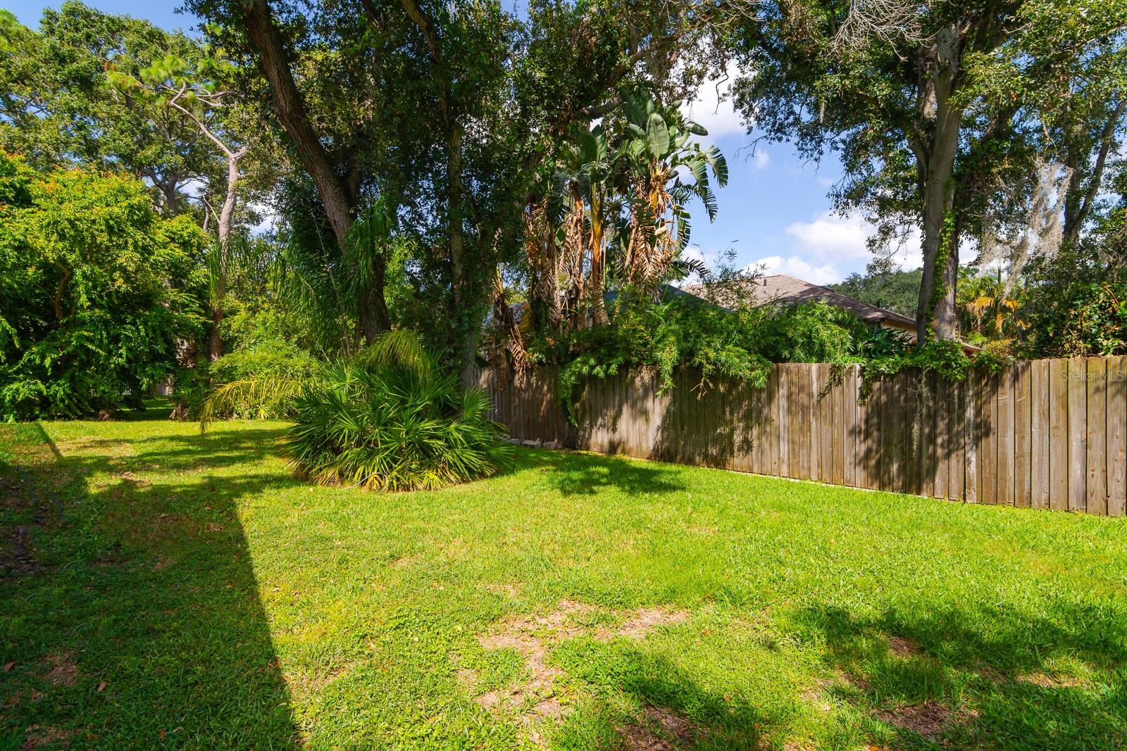 Backyard