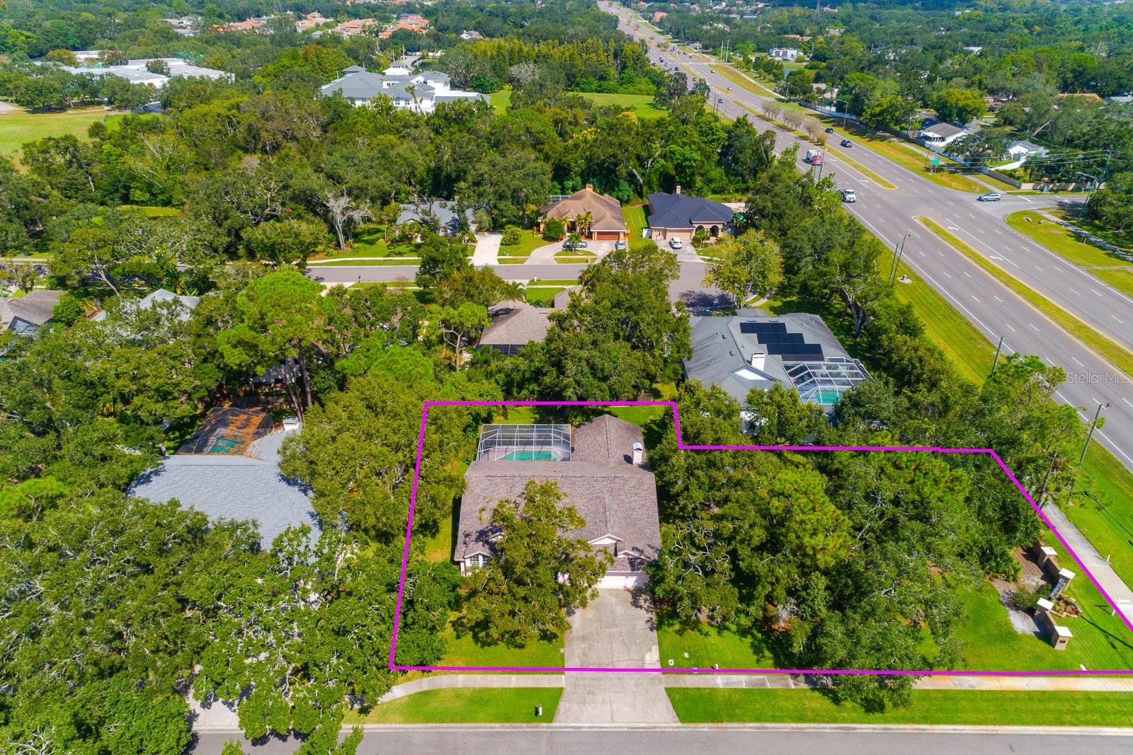 Drone View
