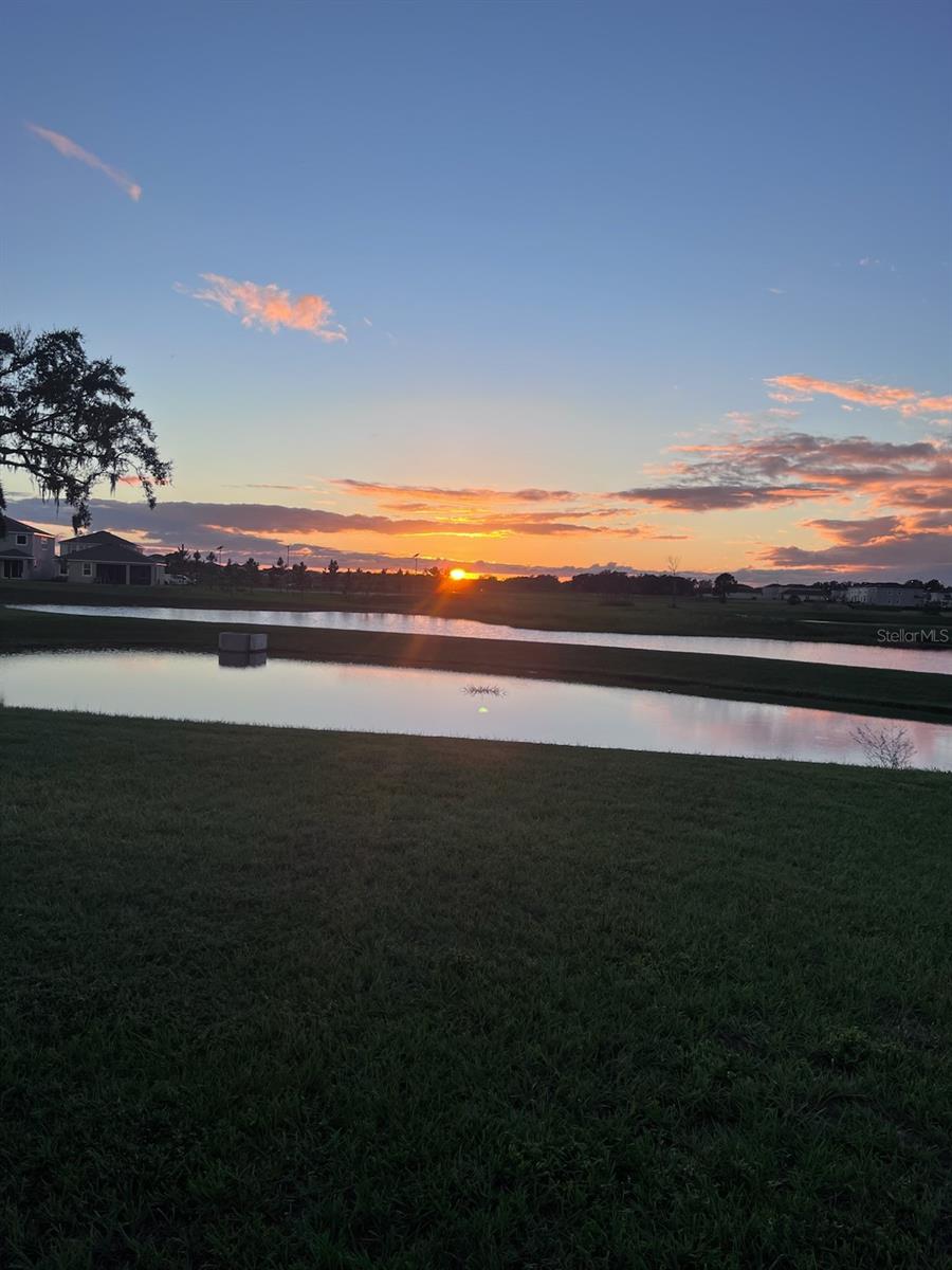 Back Yard Amazing Sunsets