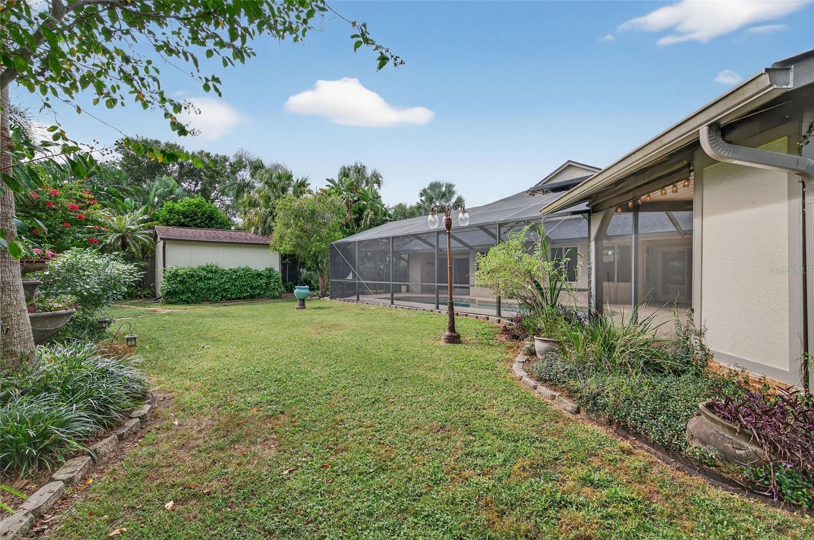 back yard