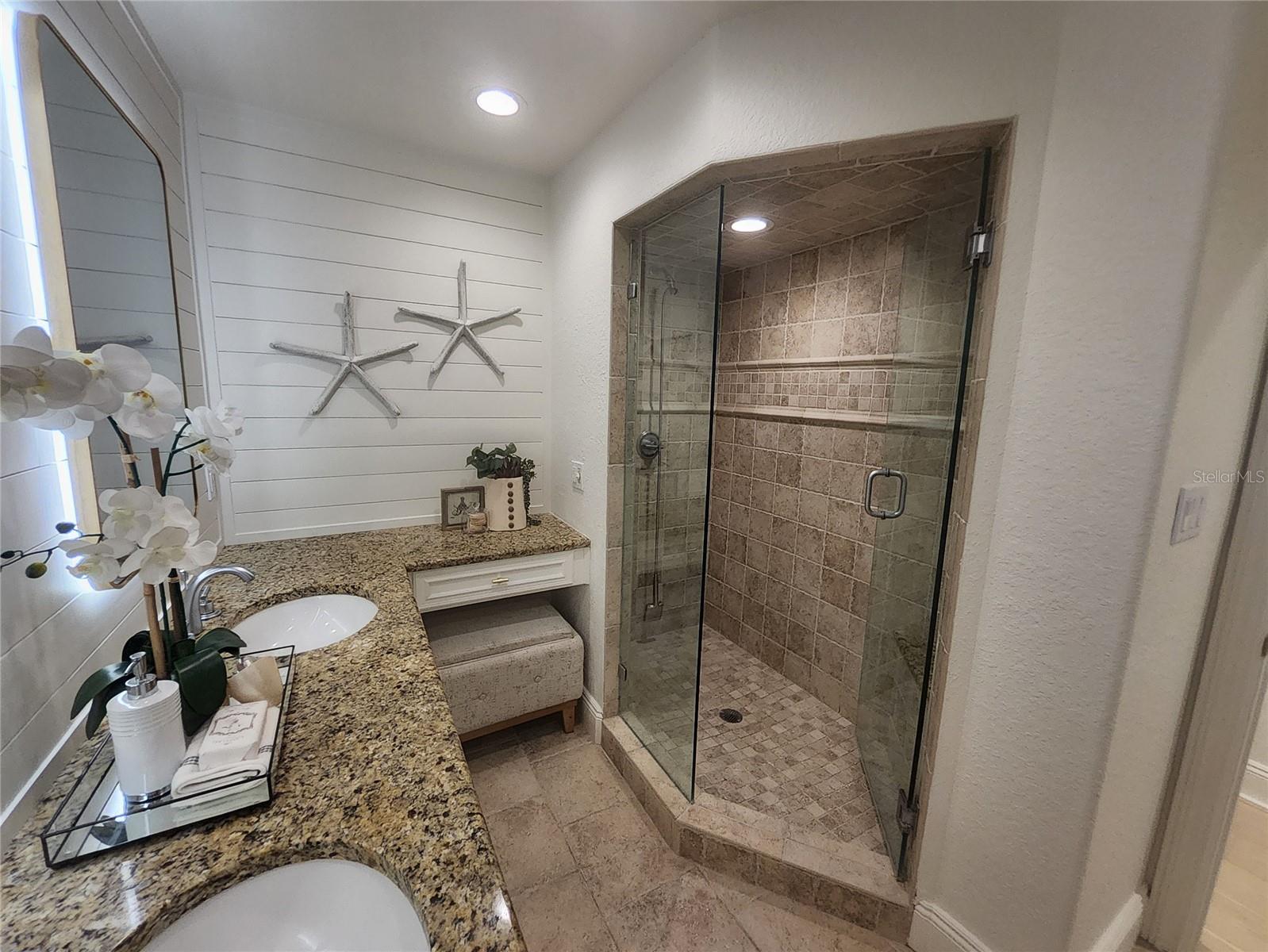 Primary bath with shower and vanity area