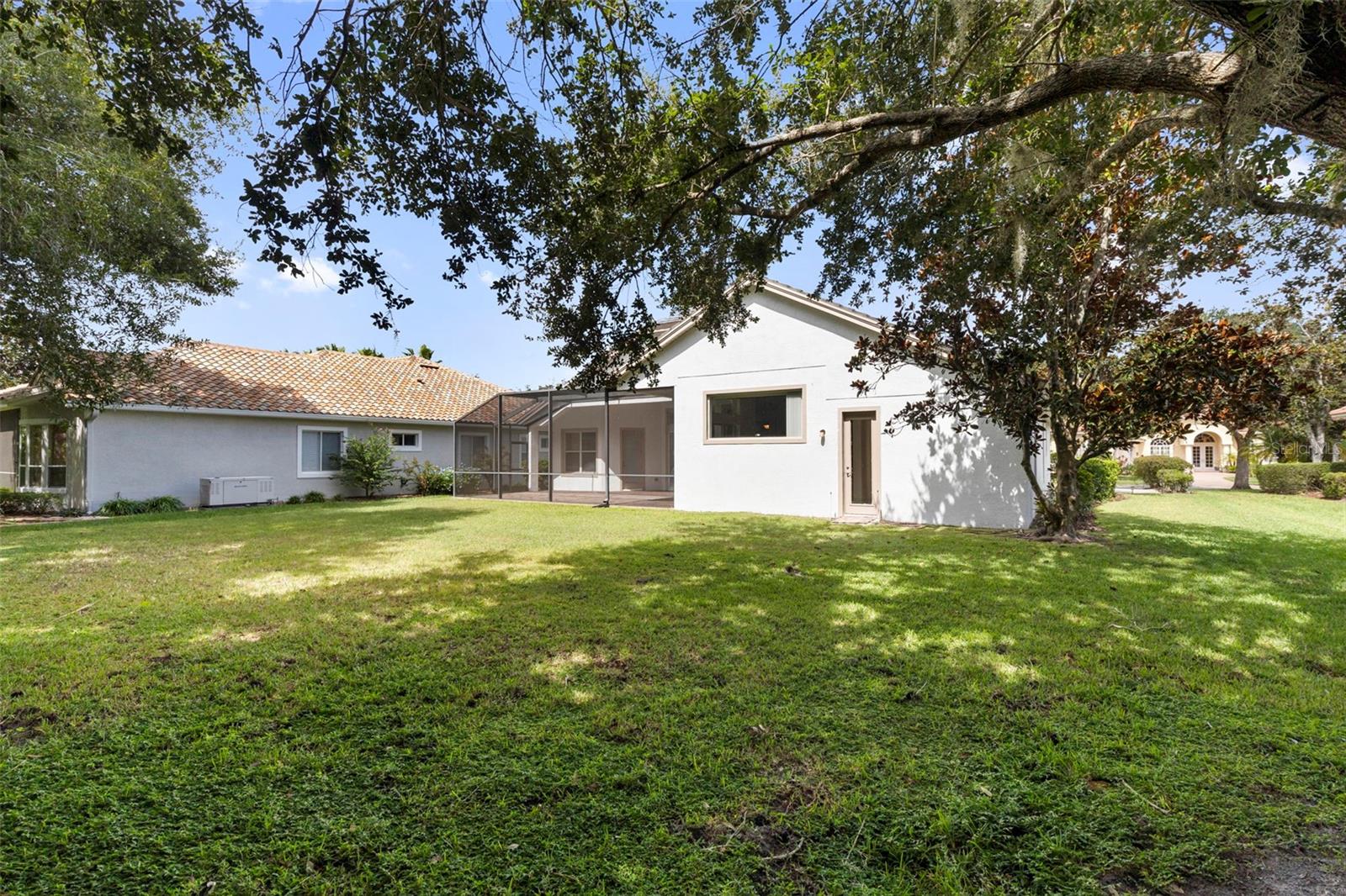 Exterior Backyard