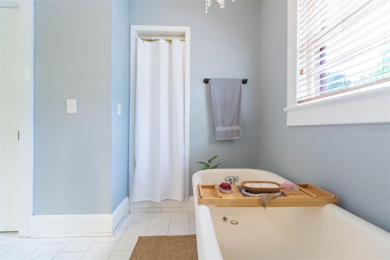 Claw Foot Tub & Shower
