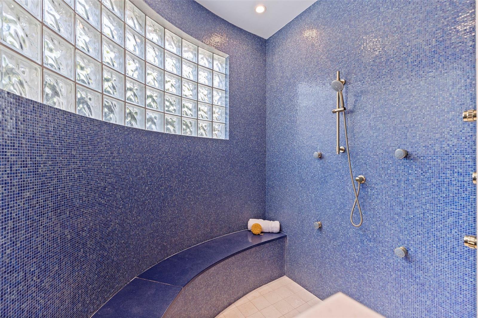 Primary Shower