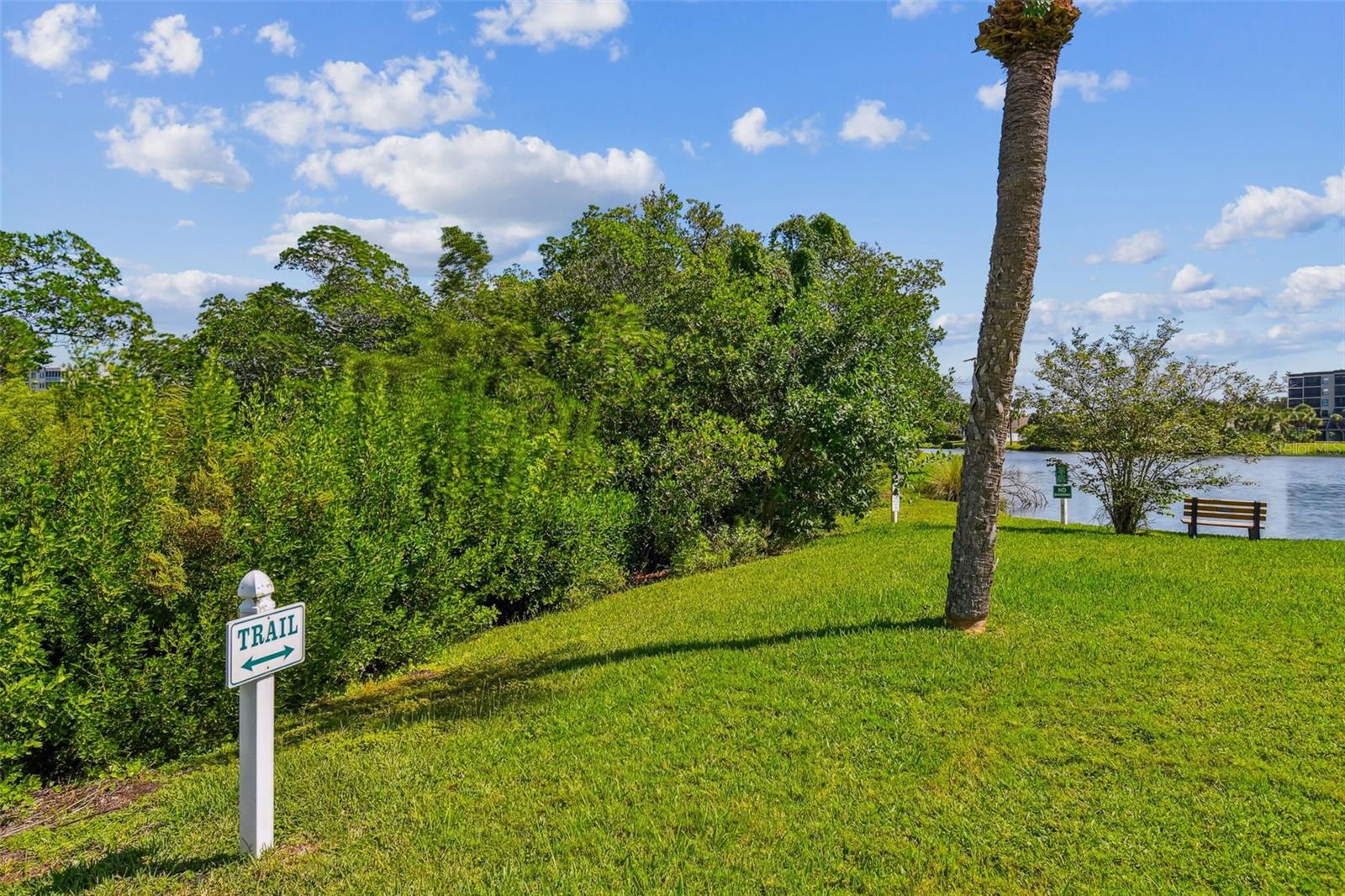 Trails along the water