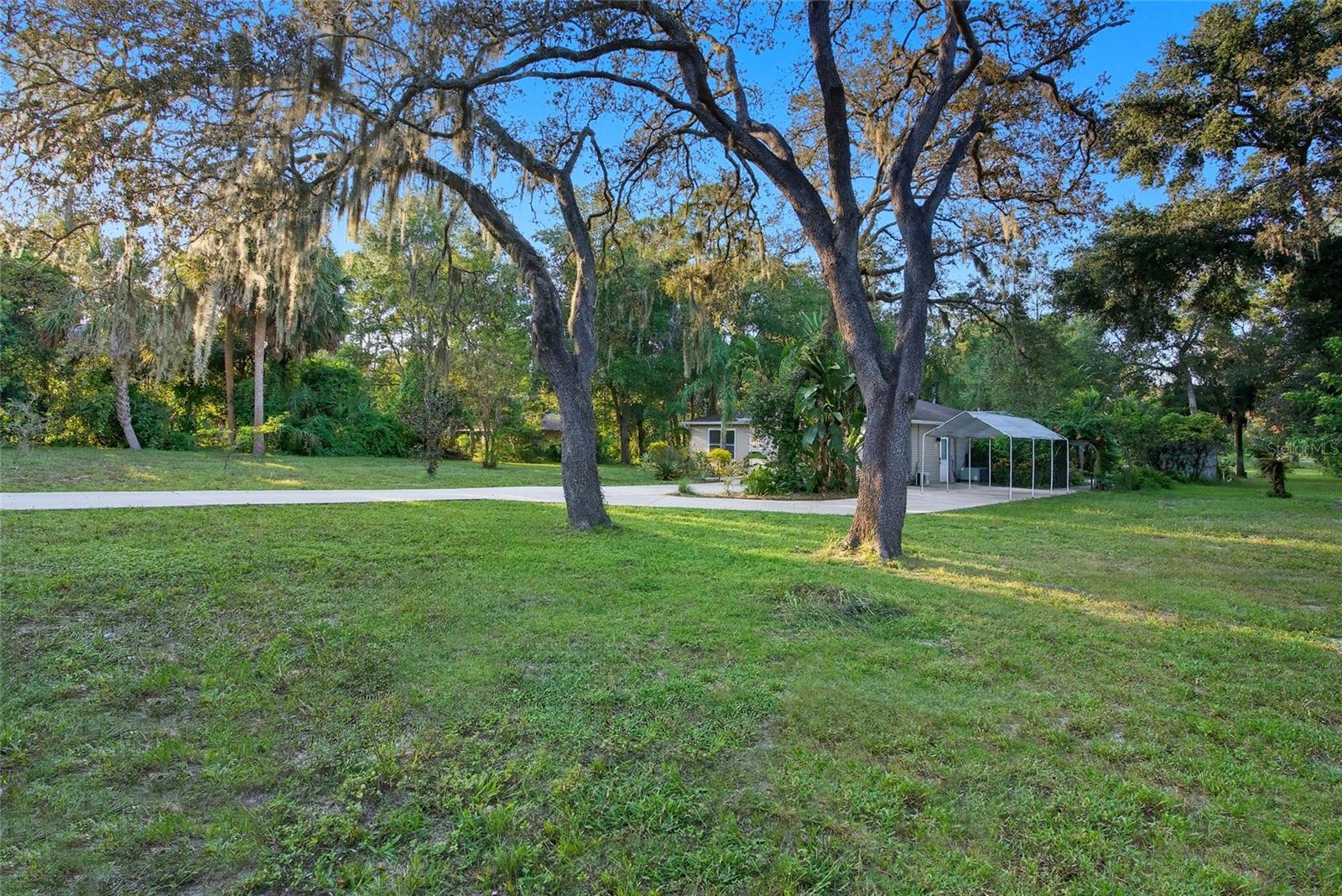 Front yard
