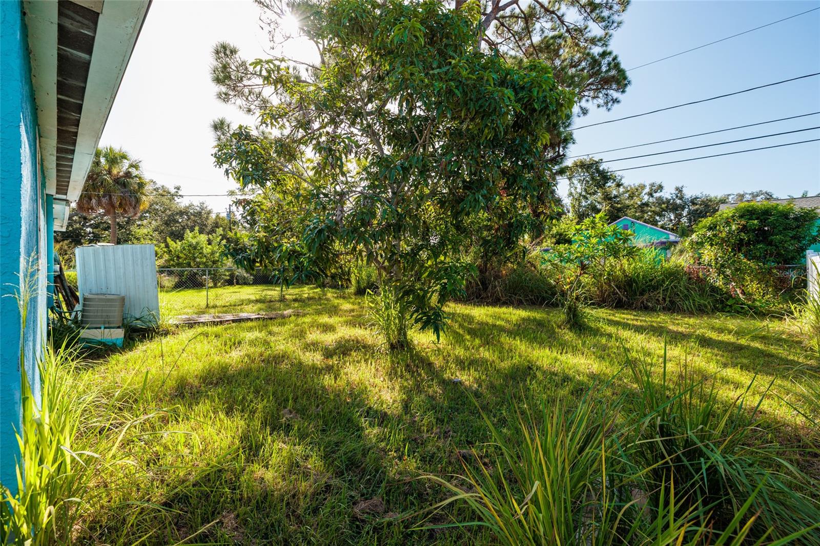 Trees and shrubs provide privacy