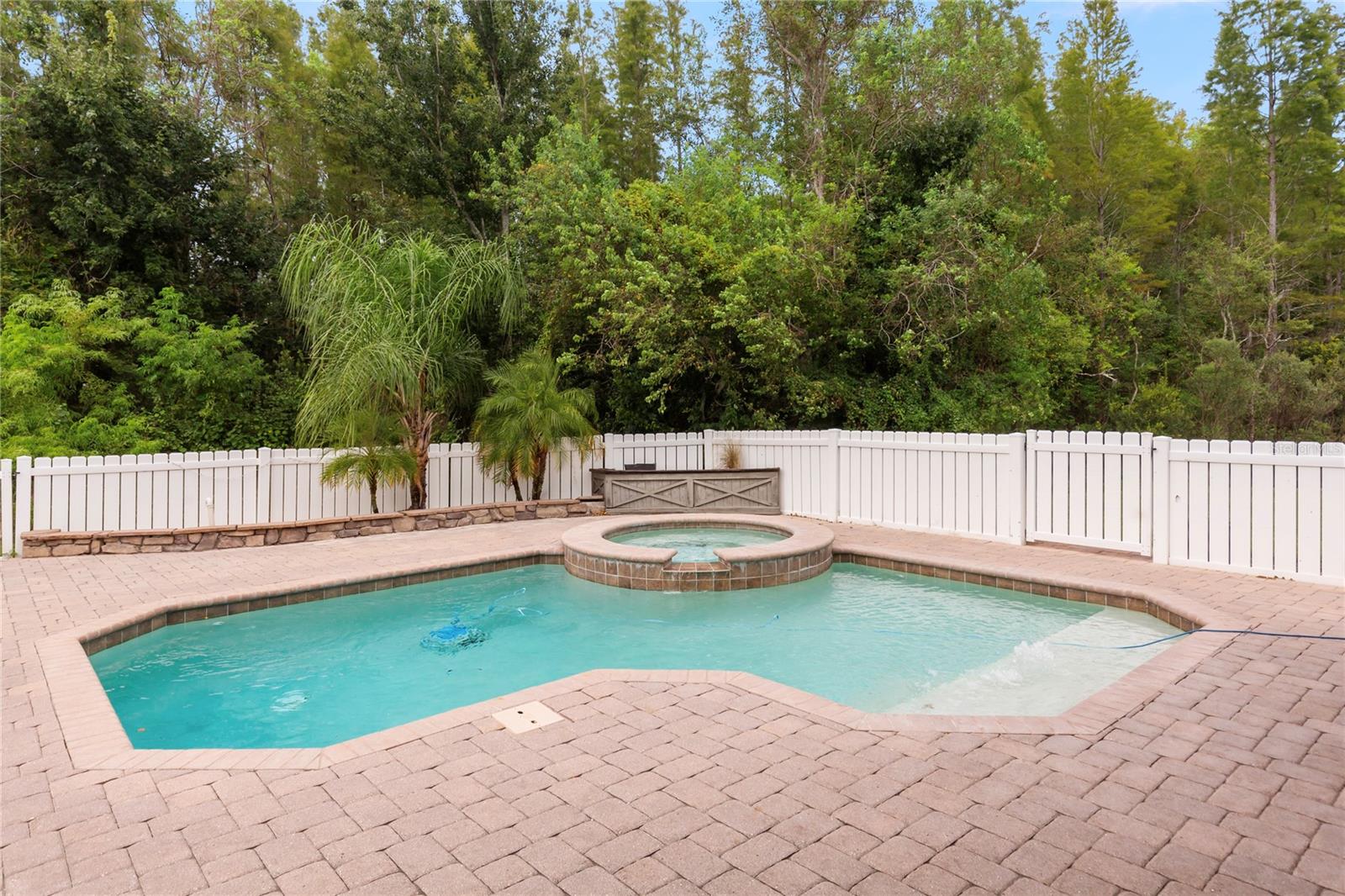 Backyard pool