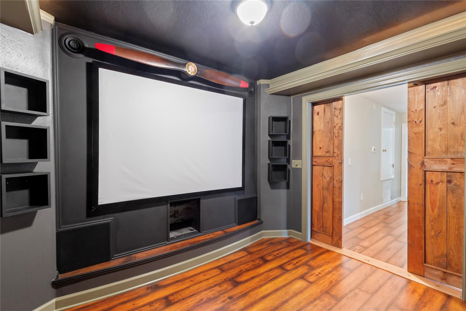 Theatre Room
