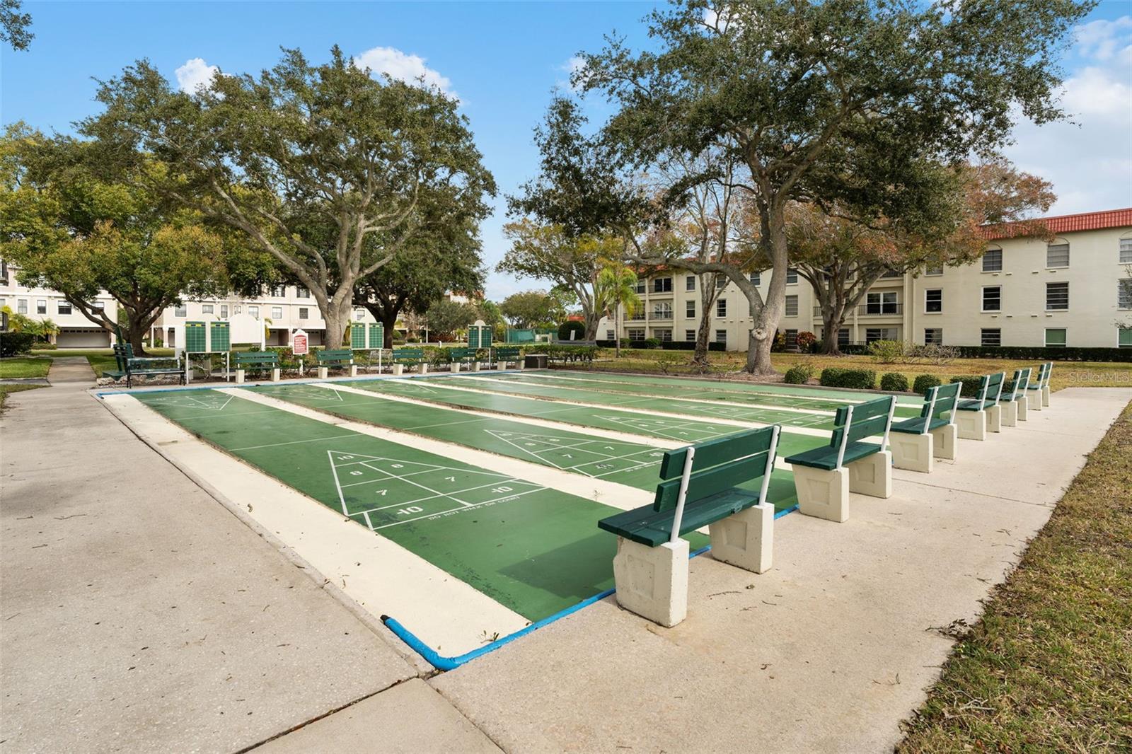 Shuffleboard Court!