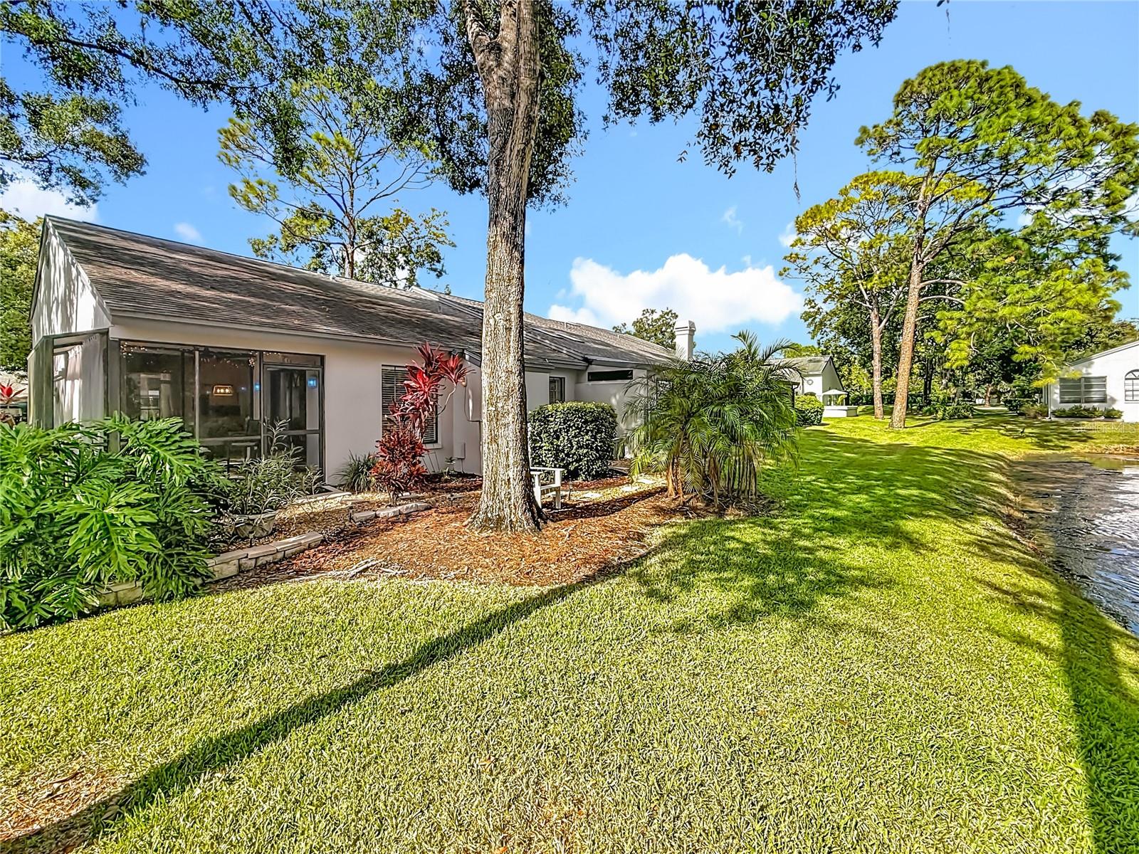 .09 Acre Backyard