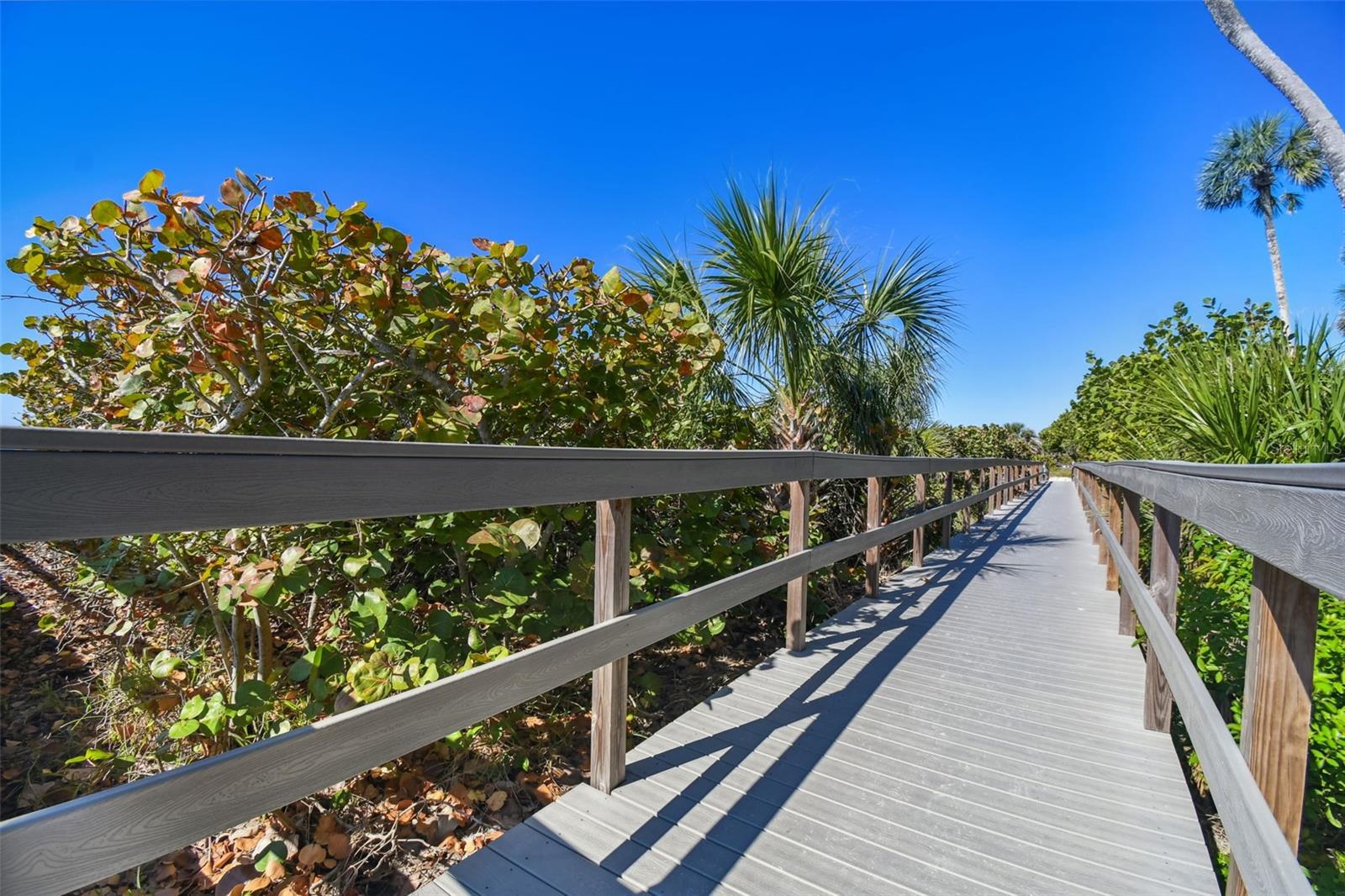 Boardwalk